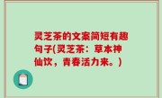 灵芝茶的文案简短有趣句子(灵芝茶：草本神仙饮，青春活力来。)