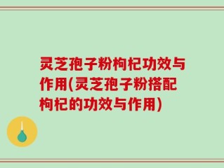 灵芝孢子粉枸杞功效与作用(灵芝孢子粉搭配枸杞的功效与作用)