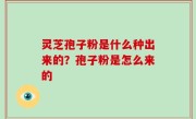 灵芝孢子粉是什么种出来的？孢子粉是怎么来的