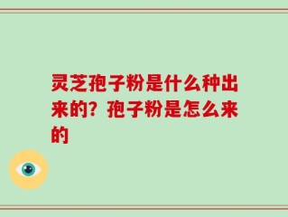灵芝孢子粉是什么种出来的？孢子粉是怎么来的