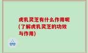 虎乳灵芝有什么作用呢(了解虎乳灵芝的功效与作用)