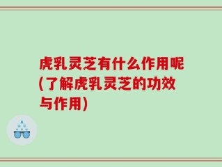 虎乳灵芝有什么作用呢(了解虎乳灵芝的功效与作用)