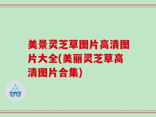 美景灵芝草图片高清图片大全(美丽灵芝草高清图片合集)