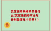灵芝四季采摘季节是什么(灵芝采摘季节全年分别是哪几个季节？)
