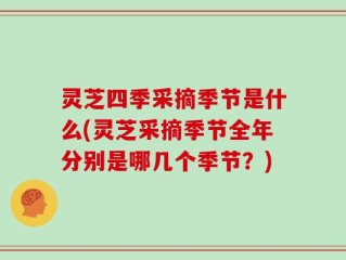 灵芝四季采摘季节是什么(灵芝采摘季节全年分别是哪几个季节？)