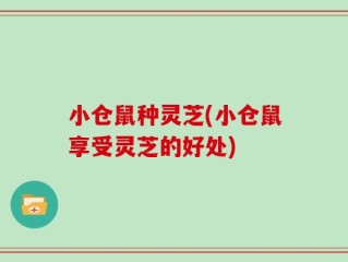 小仓鼠种灵芝(小仓鼠享受灵芝的好处)