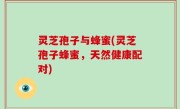 灵芝孢子与蜂蜜(灵芝孢子蜂蜜，天然健康配对)