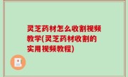 灵芝药材怎么收割视频教学(灵芝药材收割的实用视频教程)