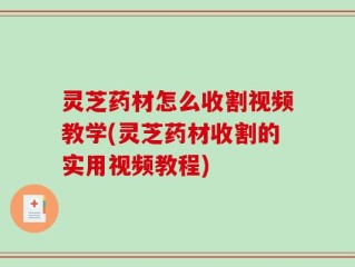 灵芝药材怎么收割视频教学(灵芝药材收割的实用视频教程)
