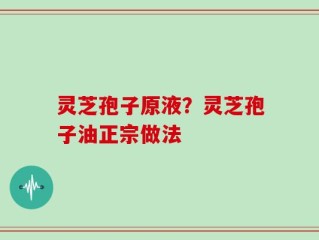灵芝孢子原液？灵芝孢子油正宗做法