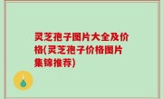 灵芝孢子图片大全及价格(灵芝孢子价格图片集锦推荐)