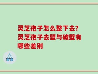 灵芝孢子怎么整下去？灵芝孢子去壁与破壁有哪些差别