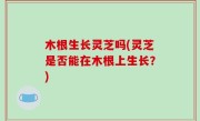 木根生长灵芝吗(灵芝是否能在木根上生长？)