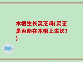 木根生长灵芝吗(灵芝是否能在木根上生长？)