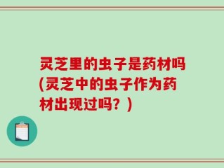 灵芝里的虫子是药材吗(灵芝中的虫子作为药材出现过吗？)