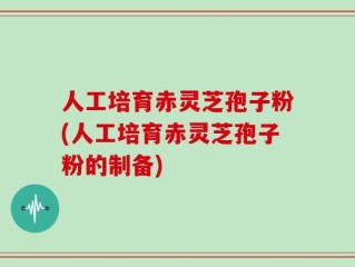 人工培育赤灵芝孢子粉(人工培育赤灵芝孢子粉的制备)