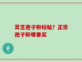 灵芝孢子粉标贴？正宗孢子粉哪里买