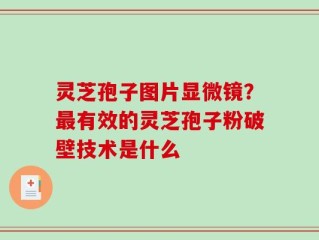灵芝孢子图片显微镜？最有效的灵芝孢子粉破壁技术是什么