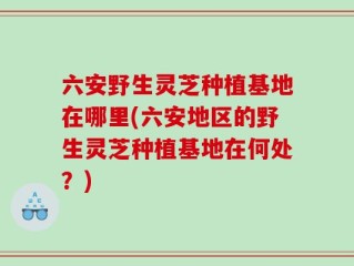 六安野生灵芝种植基地在哪里(六安地区的野生灵芝种植基地在何处？)