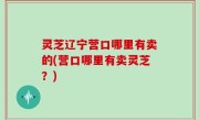 灵芝辽宁营口哪里有卖的(营口哪里有卖灵芝？)