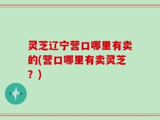 灵芝辽宁营口哪里有卖的(营口哪里有卖灵芝？)