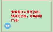 安徽望江人灵芝(望江镇灵芝热销，市场前景广阔)