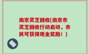 南京灵芝回收(南京市灵芝回收行动启动，市民可获得现金奖励！)