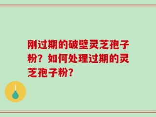 刚过期的破壁灵芝孢子粉？如何处理过期的灵芝孢子粉？