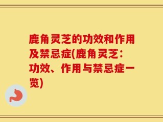 鹿角灵芝的功效和作用及禁忌症(鹿角灵芝：功效、作用与禁忌症一览)