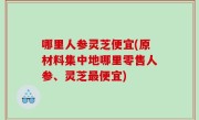 哪里人参灵芝便宜(原材料集中地哪里零售人参、灵芝最便宜)