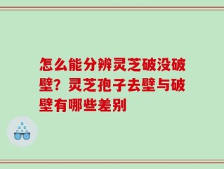 怎么能分辨灵芝破没破壁？灵芝孢子去壁与破壁有哪些差别