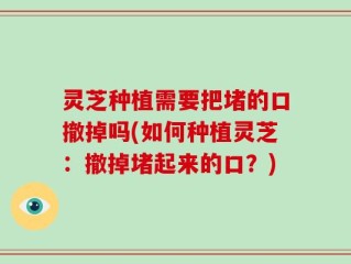 灵芝种植需要把堵的口撤掉吗(如何种植灵芝：撤掉堵起来的口？)
