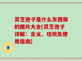 灵芝孢子是什么东西做的图片大全(灵芝孢子详解：含义、功效及使用指南)