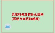 灵芝和赤芝有什么区别(灵芝与赤芝的差异)