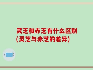 灵芝和赤芝有什么区别(灵芝与赤芝的差异)