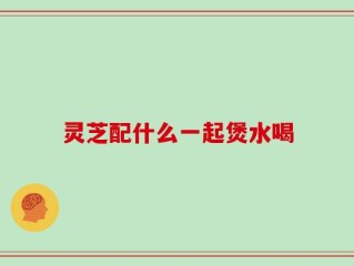 灵芝配什么一起煲水喝