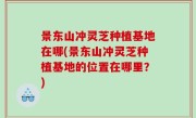景东山冲灵芝种植基地在哪(景东山冲灵芝种植基地的位置在哪里？)