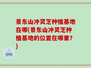景东山冲灵芝种植基地在哪(景东山冲灵芝种植基地的位置在哪里？)