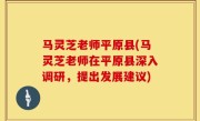 马灵芝老师平原县(马灵芝老师在平原县深入调研，提出发展建议)