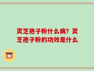 灵芝孢子粉什么病？灵芝孢子粉的功效是什么