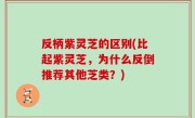 反柄紫灵芝的区别(比起紫灵芝，为什么反倒推荐其他芝类？)