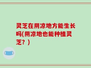 灵芝在阴凉地方能生长吗(阴凉地也能种植灵芝？)