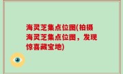 海灵芝集点位图(拍摄海灵芝集点位图，发现惊喜藏宝地)