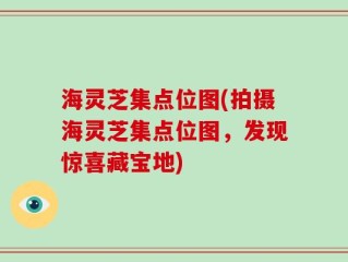 海灵芝集点位图(拍摄海灵芝集点位图，发现惊喜藏宝地)