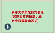 真命天子灵芝救刘伯温(灵芝治疗刘伯温，成为中药界真命天子)