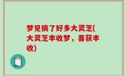 梦见摘了好多大灵芝(大灵芝丰收梦，喜获丰收)