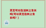 灵芝可以在活树上生长吗(可以灵芝在树上生长吗？)