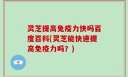 灵芝提高免疫力快吗百度百科(灵芝能快速提高免疫力吗？)