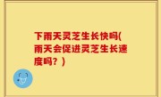 下雨天灵芝生长快吗(雨天会促进灵芝生长速度吗？)