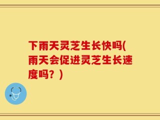 下雨天灵芝生长快吗(雨天会促进灵芝生长速度吗？)